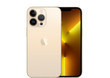 FAMILY|iphone13pro 6 Zoll Gold